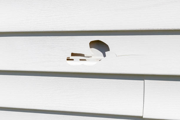 Trusted Schofield, WI Junk Removal Experts